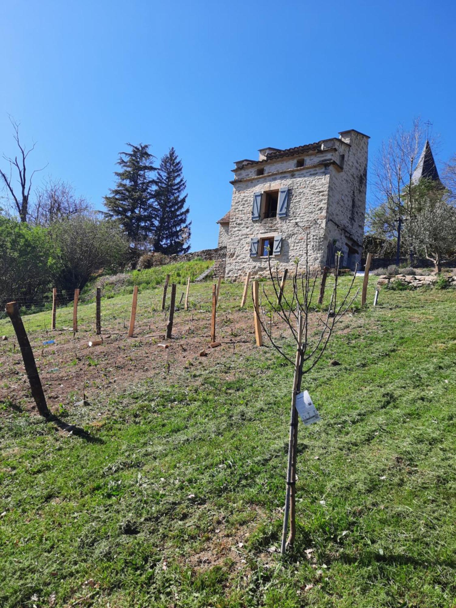 Le Pigeonnier De Felines Villa Caylus Rom bilde